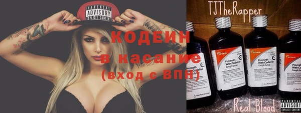 прущие грибы Арсеньев