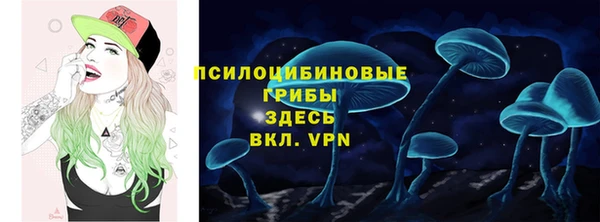 ПСИЛОЦИБИНОВЫЕ ГРИБЫ Алексин