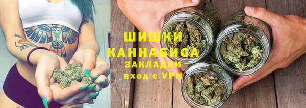 ПСИЛОЦИБИНОВЫЕ ГРИБЫ Алексин