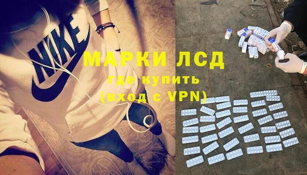 прущие грибы Арсеньев